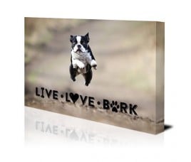 Live Love Bark Canvas Print